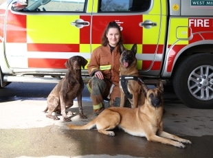 fire dogs with fire student