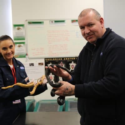Laura and Glenn hold snakes