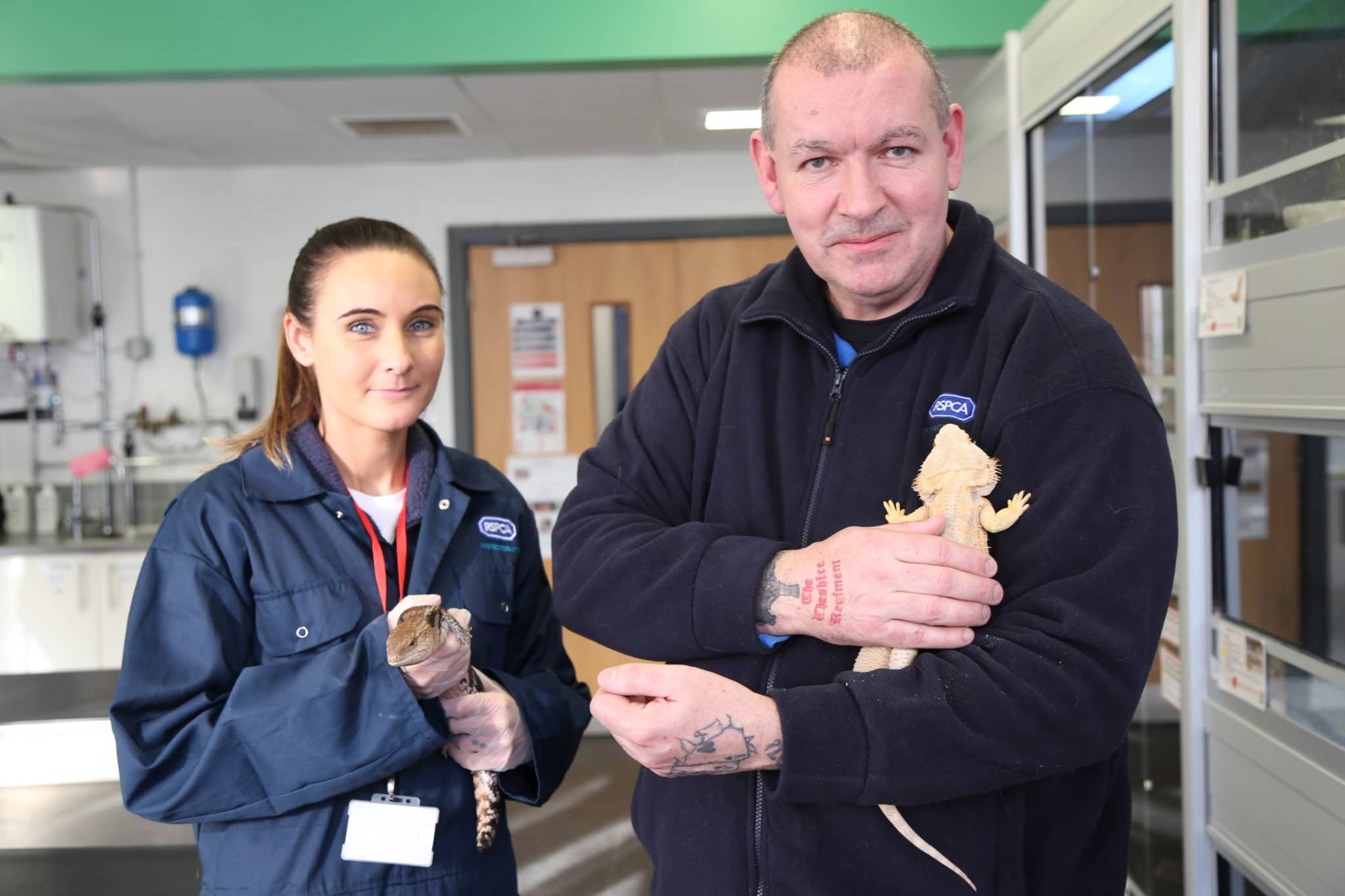 Laura and Glenn hold lizards in a classroom