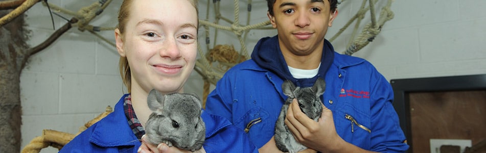 Animal Nursing Assistants