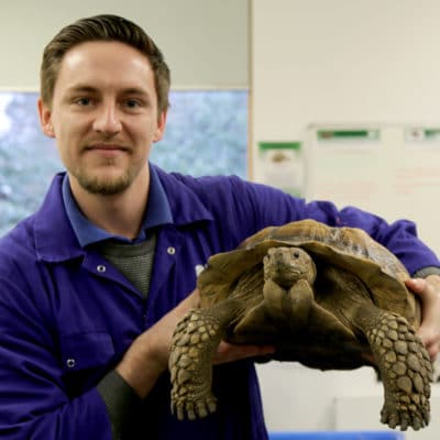 Jamie holds tortoise