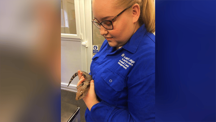 Animal Welfare student overcomes fears