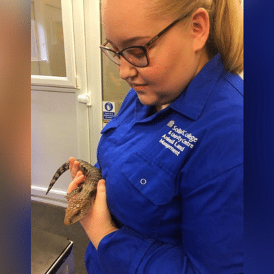 Fern holds one of the lizards at the college.