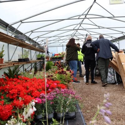 workers collecting tools in the college greenhouse.