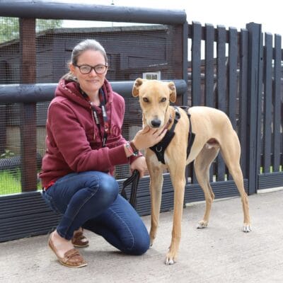 Jenni crouches next to a dog in the animal department of the College.