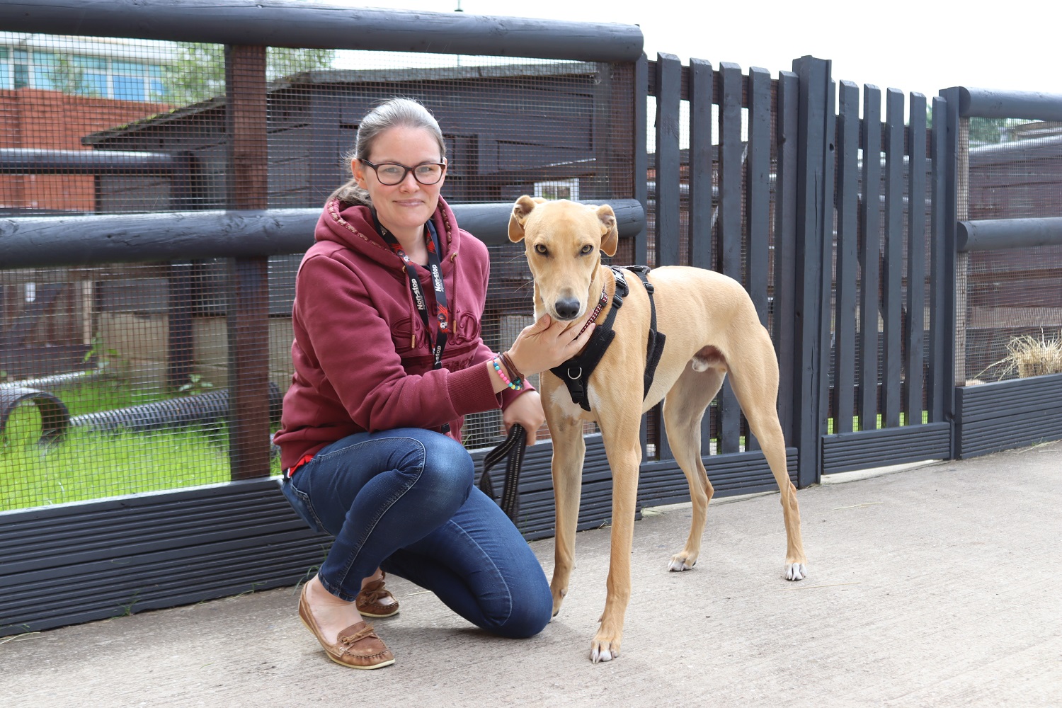 Jenni crouches next to a dog in the animal department of the College.