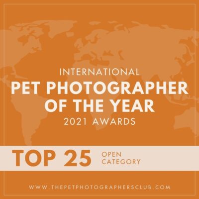 Pet Photographer