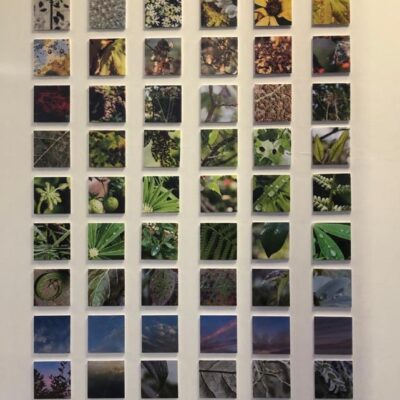 collage of paintings