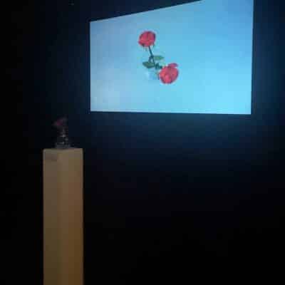 1 screen with black backdrop