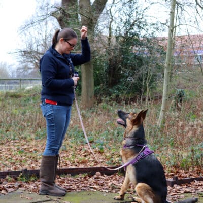 Jenni standing giving dog a treat