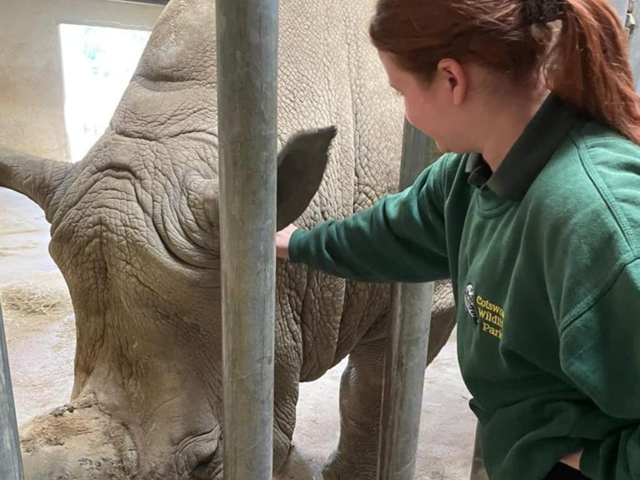 Animal Welfare degree student launches Zookeeping career