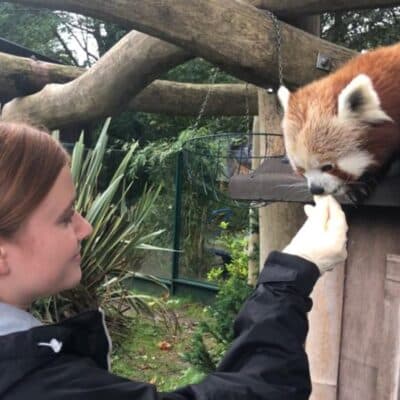 Animal Welfare degree student launches Zookeeping career