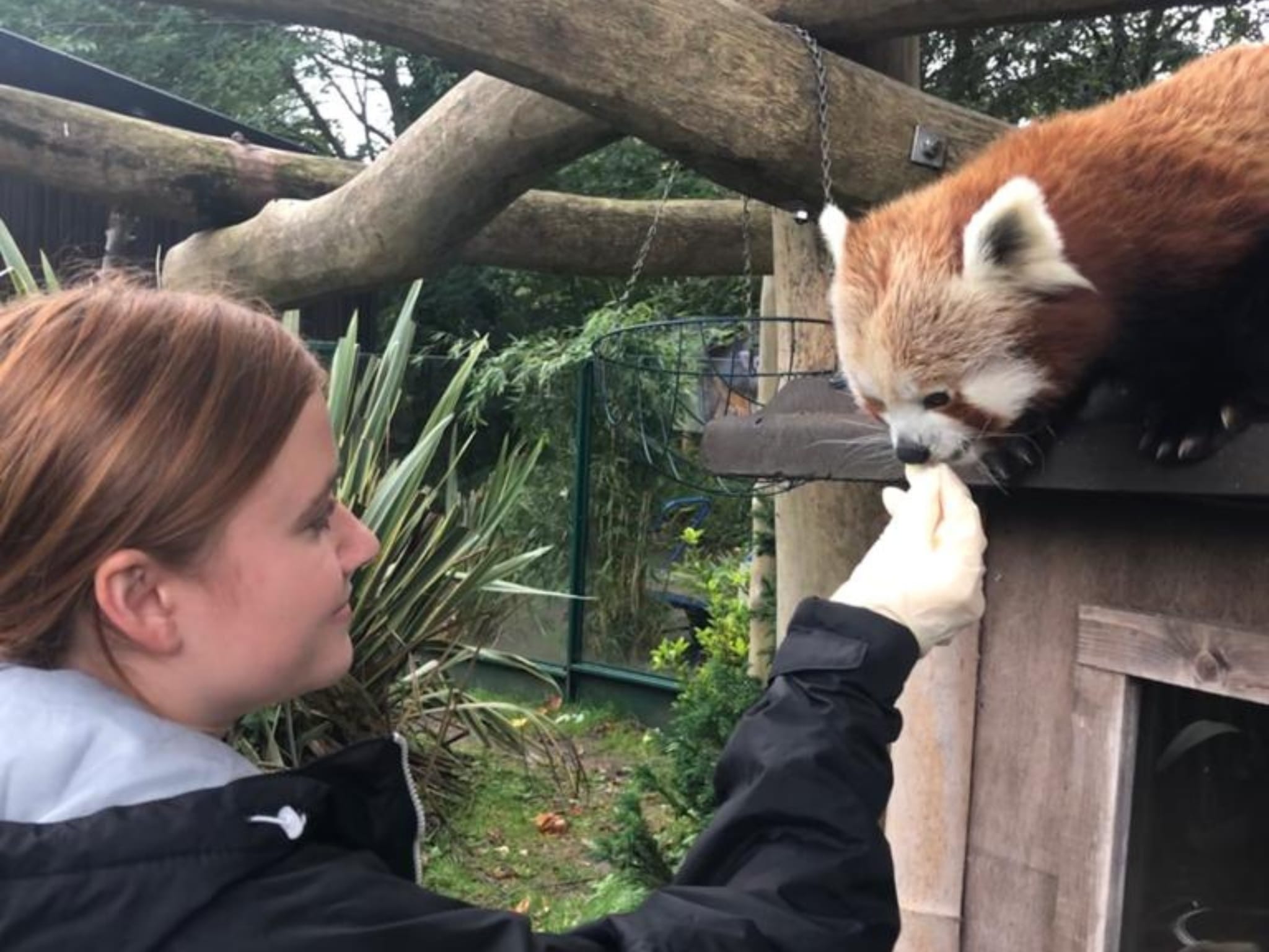 Animal Welfare degree student launches Zookeeping career