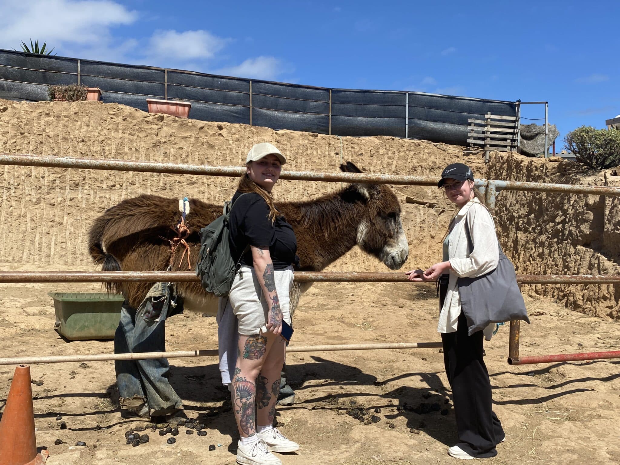 Animal Welfare students take conservation trip to Tenerife