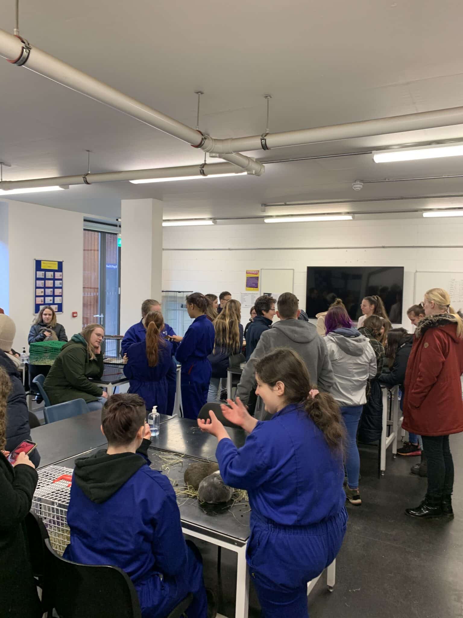 Animal Welfare students welcome international guests