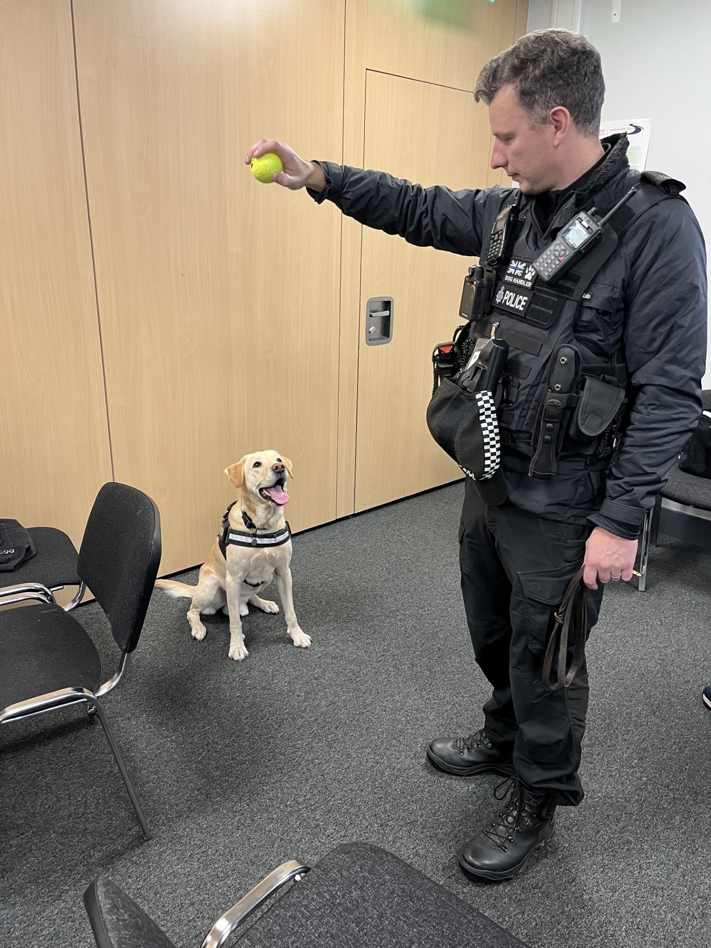 Explosives detection dog in the classroom