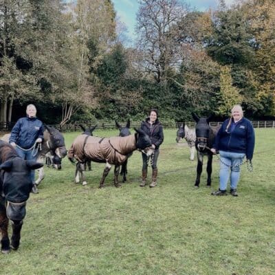 staff with donkeys