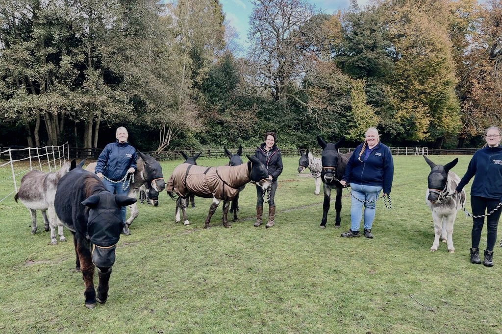staff with donkeys