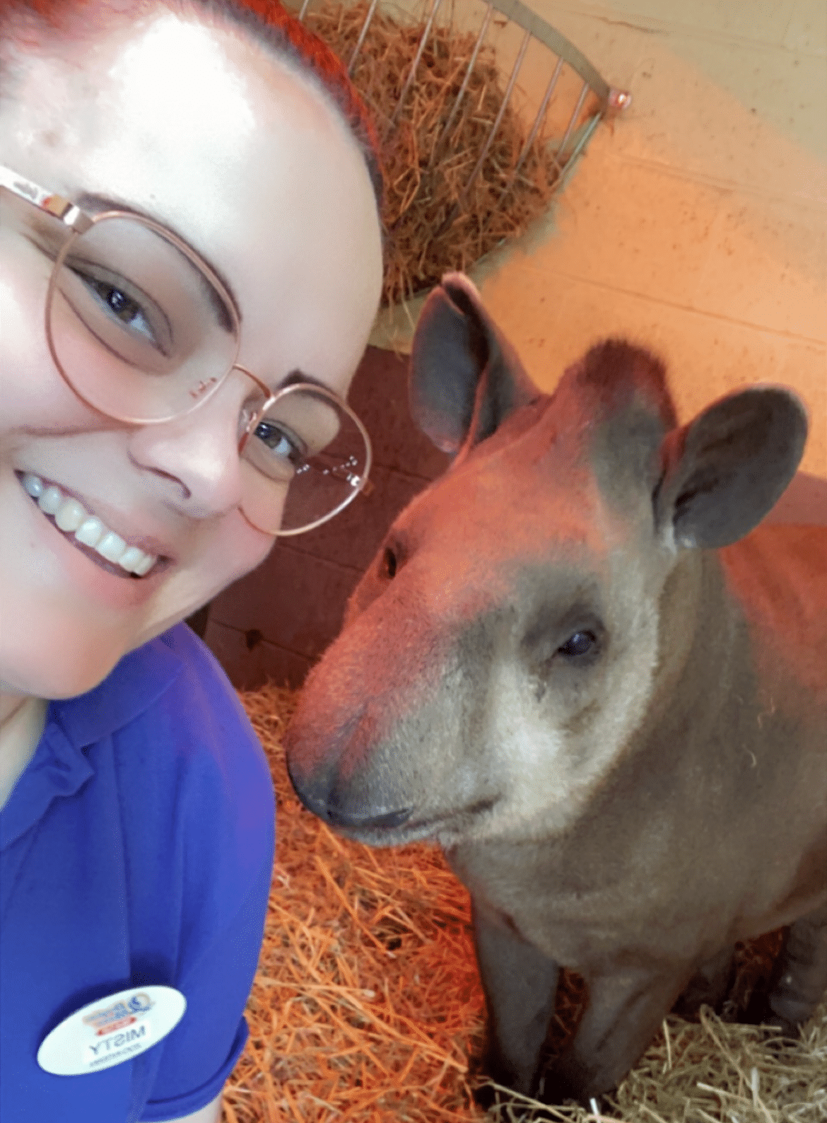 Misty with a tapir