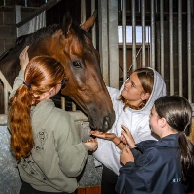 three student stood around horse