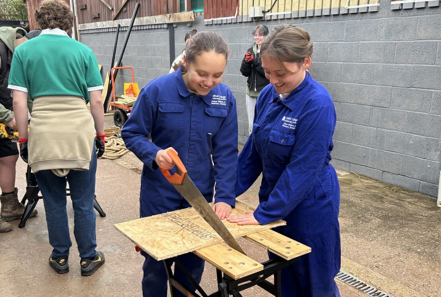 Veterinary nursing team getting hands on