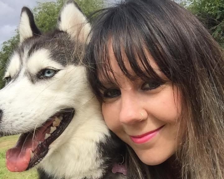 animal welfare graduate takes canine business worldwide