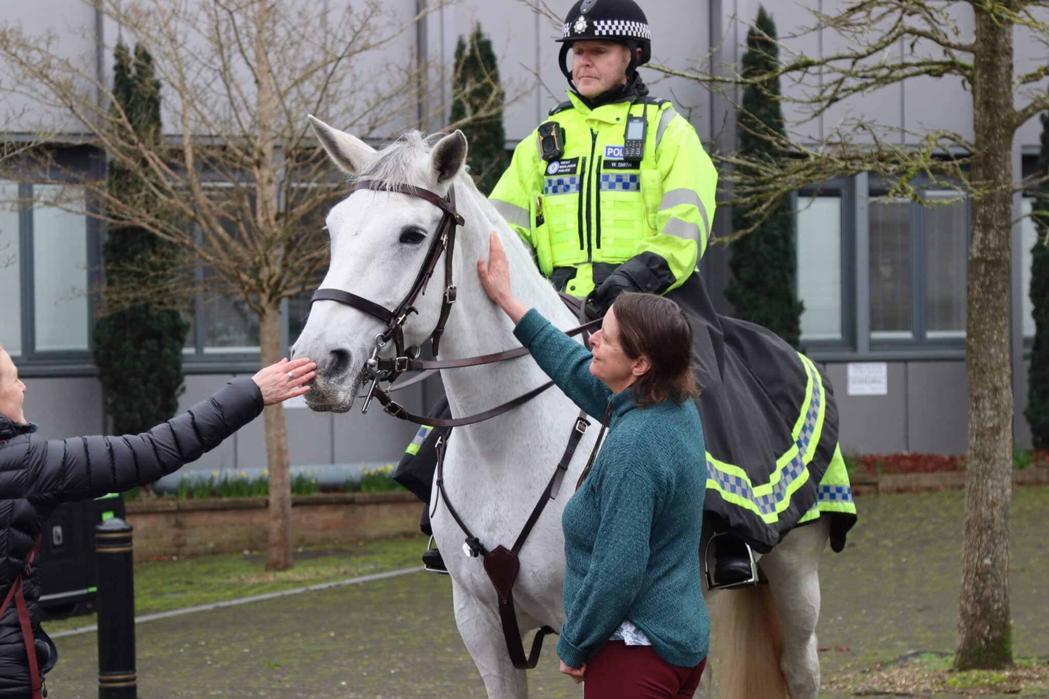 police horses outside college