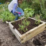 Local garden project sows the seeds of community spirit