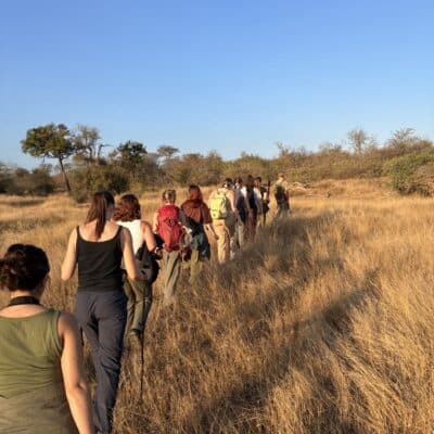 Animal Welfare students take trip of a lifetime