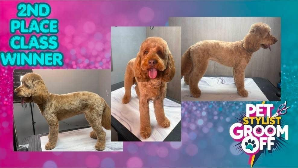 Lecturer celebrates international dog grooming competition success