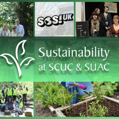 Staff share their sustainability wins